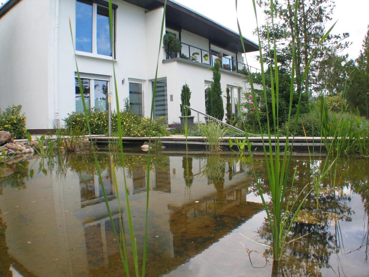 Ferienwohnung In Waldrandlage Zierenberg Εξωτερικό φωτογραφία