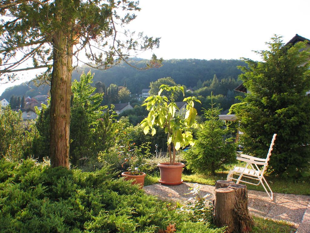 Ferienwohnung In Waldrandlage Zierenberg Εξωτερικό φωτογραφία