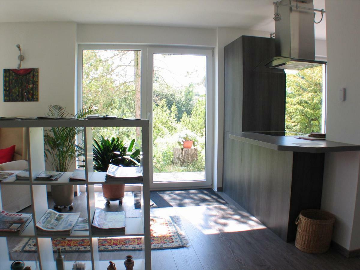 Ferienwohnung In Waldrandlage Zierenberg Εξωτερικό φωτογραφία